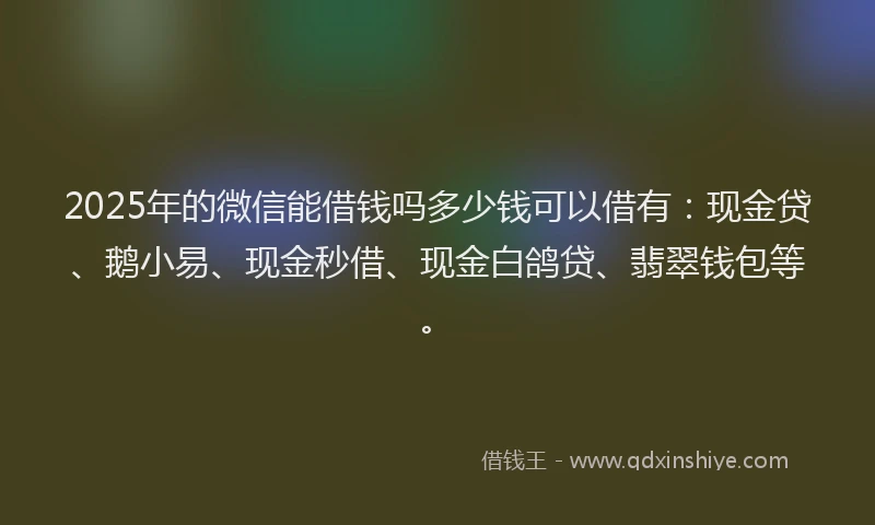 2025年的微信能借钱吗多少钱可以借有：现金贷、鹅小易、现金秒借、现金白鸽贷、翡翠钱包等。