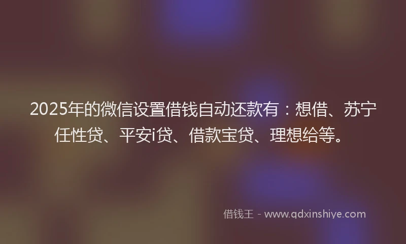 2025年的微信设置借钱自动还款有：想借、苏宁任性贷、平安i贷、借款宝贷、理想给等。