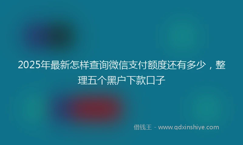 2025年最新怎样查询微信支付额度还有多少，整理五个黑户下款口子