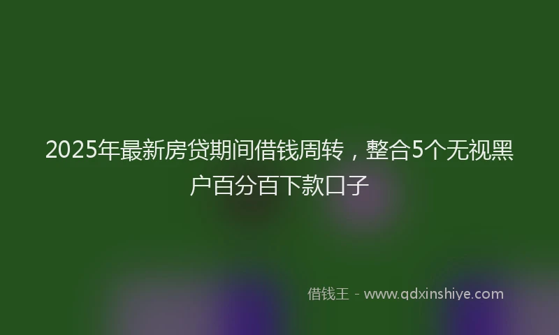 2025年最新房贷期间借钱周转，整合5个无视黑户百分百下款口子