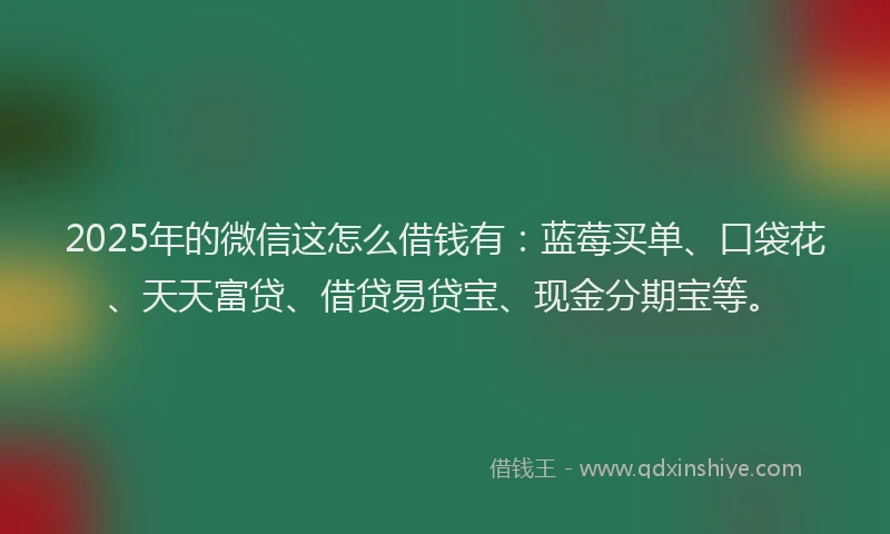 2025年的微信这怎么借钱有：蓝莓买单、口袋花、天天富贷、借贷易贷宝、现金分期宝等。