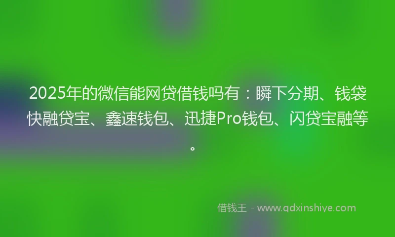2025年的微信能网贷借钱吗有：瞬下分期、钱袋快融贷宝、鑫速钱包、迅捷Pro钱包、闪贷宝融等。