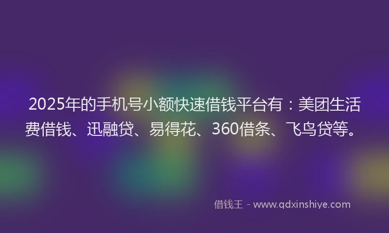 2025年的手机号小额快速借钱平台有：美团生活费借钱、迅融贷、易得花、360借条、飞鸟贷等。