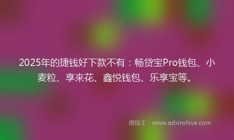 2025年的捷钱好下款不有：畅贷宝Pro钱包、小麦粒、享来花、鑫悦钱包、乐享宝等。
