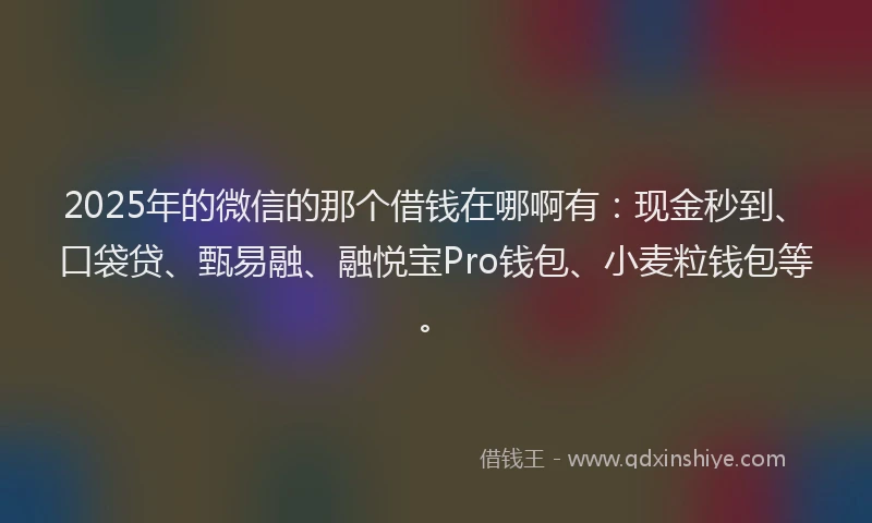 2025年的微信的那个借钱在哪啊有：现金秒到、口袋贷、甄易融、融悦宝Pro钱包、小麦粒钱包等。
