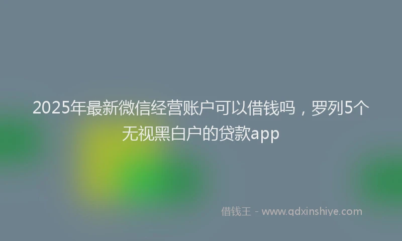 2025年最新微信经营账户可以借钱吗，罗列5个无视黑白户的贷款app