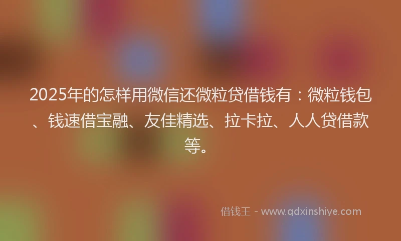 2025年的怎样用微信还微粒贷借钱有：微粒钱包、钱速借宝融、友佳精选、拉卡拉、人人贷借款等。