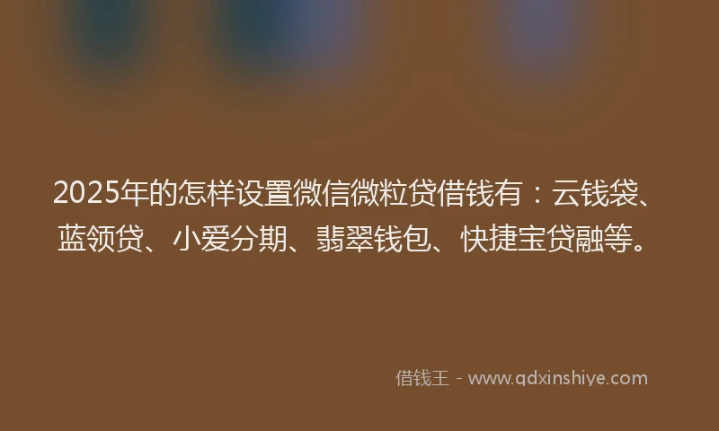 2025年的怎样设置微信微粒贷借钱有：云钱袋、蓝领贷、小爱分期、翡翠钱包、快捷宝贷融等。
