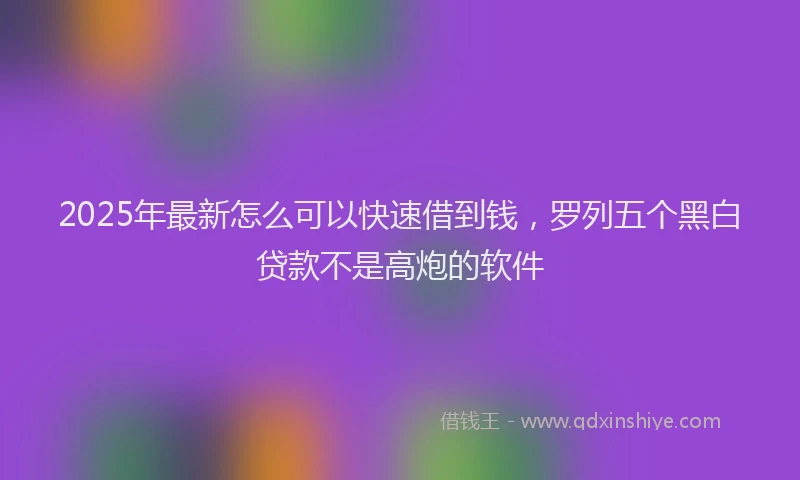 2025年最新怎么可以快速借到钱，罗列五个黑白贷款不是高炮的软件