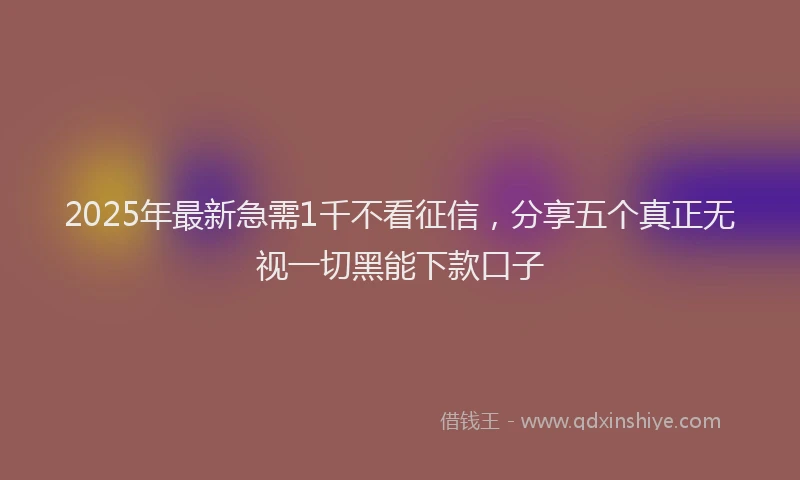 2025年最新急需1千不看征信，分享五个真正无视一切黑能下款口子