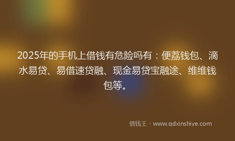 2025年的手机上借钱有危险吗有：便荔钱包、滴水易贷、易借速贷融、现金易贷宝融途、维维钱包等。