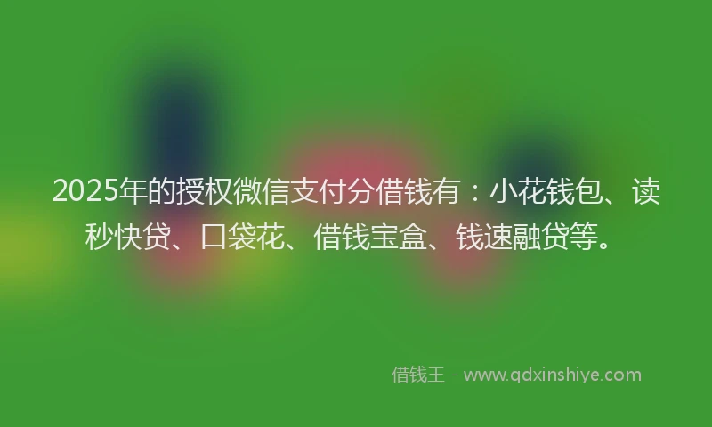 2025年的授权微信支付分借钱有：小花钱包、读秒快贷、口袋花、借钱宝盒、钱速融贷等。