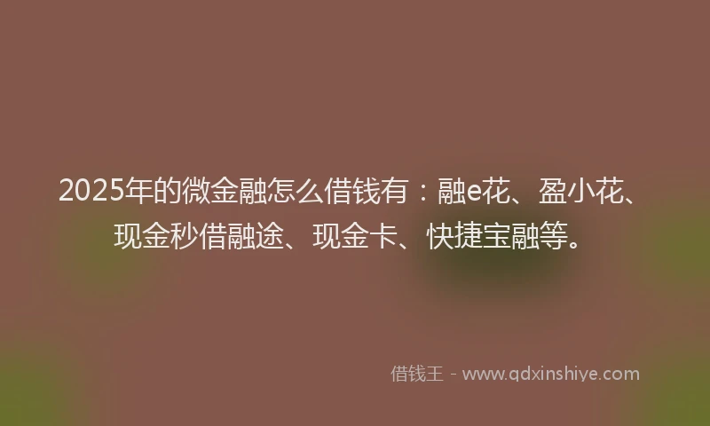 2025年的微金融怎么借钱有：融e花、盈小花、现金秒借融途、现金卡、快捷宝融等。