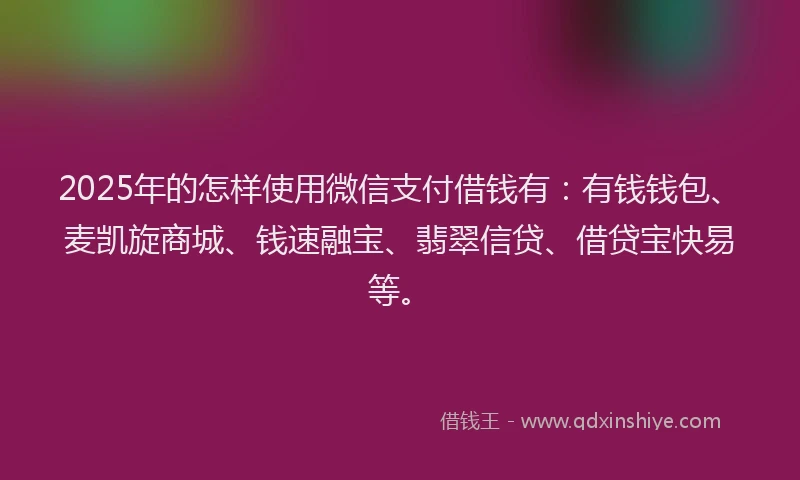 2025年的怎样使用微信支付借钱有：有钱钱包、麦凯旋商城、钱速融宝、翡翠信贷、借贷宝快易等。