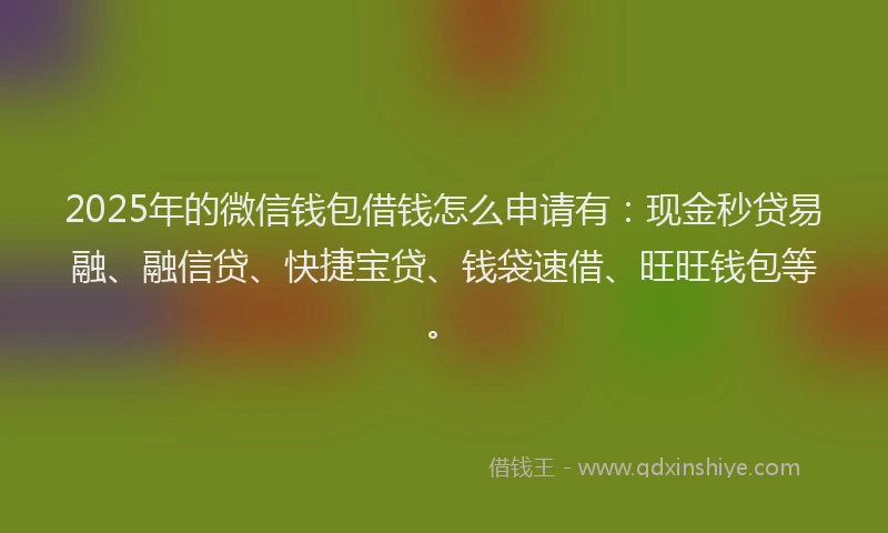 2025年的微信钱包借钱怎么申请有：现金秒贷易融、融信贷、快捷宝贷、钱袋速借、旺旺钱包等。