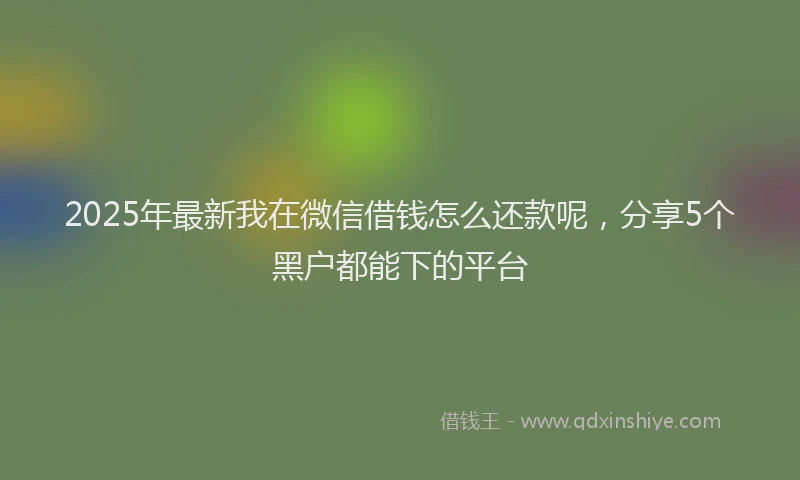 2025年最新我在微信借钱怎么还款呢，分享5个黑户都能下的平台