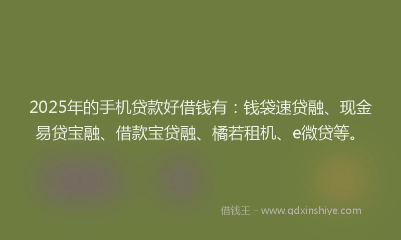 2025年的手机贷款好借钱有：钱袋速贷融、现金易贷宝融、借款宝贷融、橘若租机、e微贷等。
