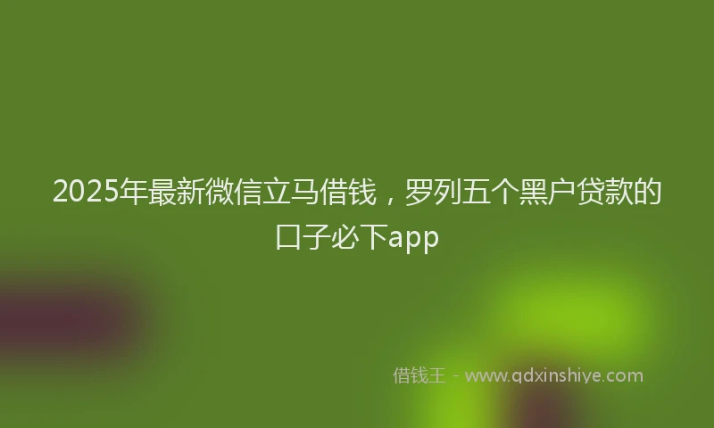 2025年最新微信立马借钱，罗列五个黑户贷款的口子必下app