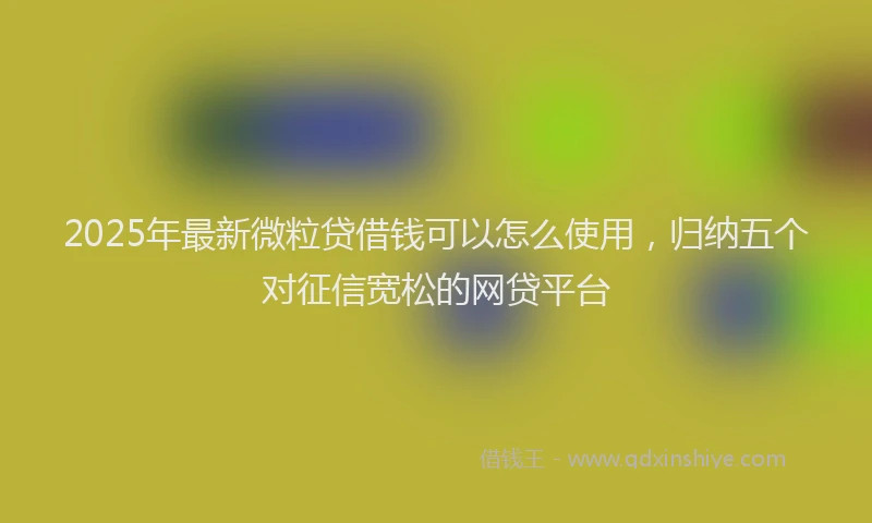 2025年最新微粒贷借钱可以怎么使用，归纳五个对征信宽松的网贷平台