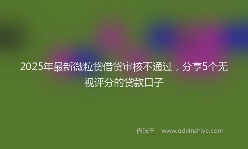2025年最新微粒贷借贷审核不通过，分享5个无视评分的贷款口子