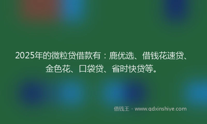 2025年的微粒贷借款有：鹿优选、借钱花速贷、金色花、口袋贷、省时快贷等。