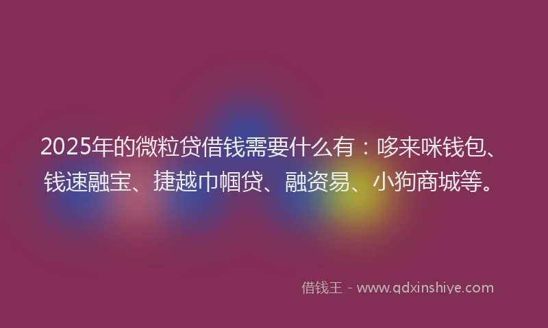 2025年的微粒贷借钱需要什么有：哆来咪钱包、钱速融宝、捷越巾帼贷、融资易、小狗商城等。