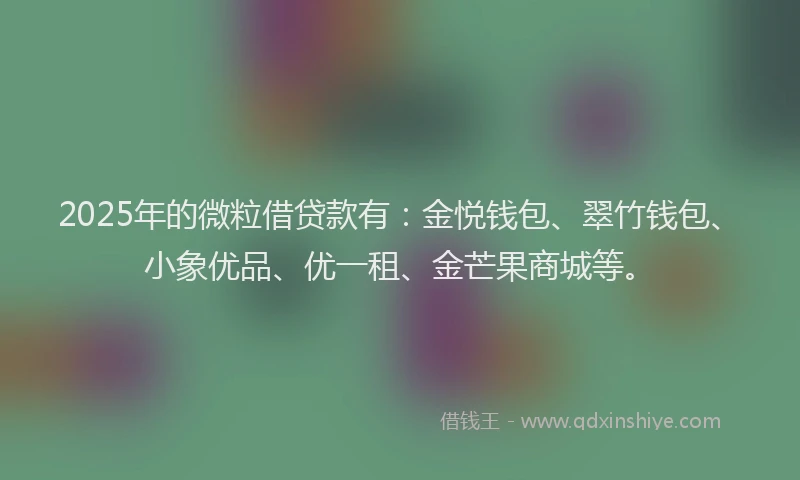 2025年的微粒借贷款有：金悦钱包、翠竹钱包、小象优品、优一租、金芒果商城等。