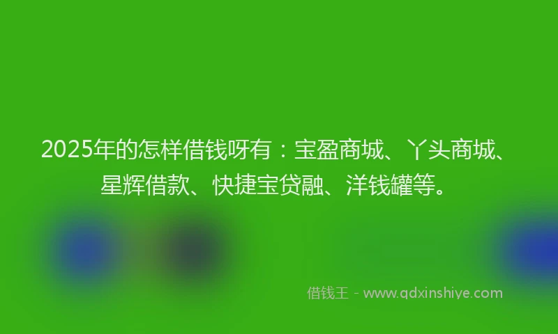 2025年的怎样借钱呀有：宝盈商城、丫头商城、星辉借款、快捷宝贷融、洋钱罐等。
