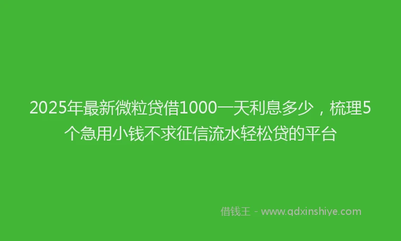2025年最新微粒贷借1000一天利息多少，梳理5个急用小钱不求征信流水轻松贷的平台