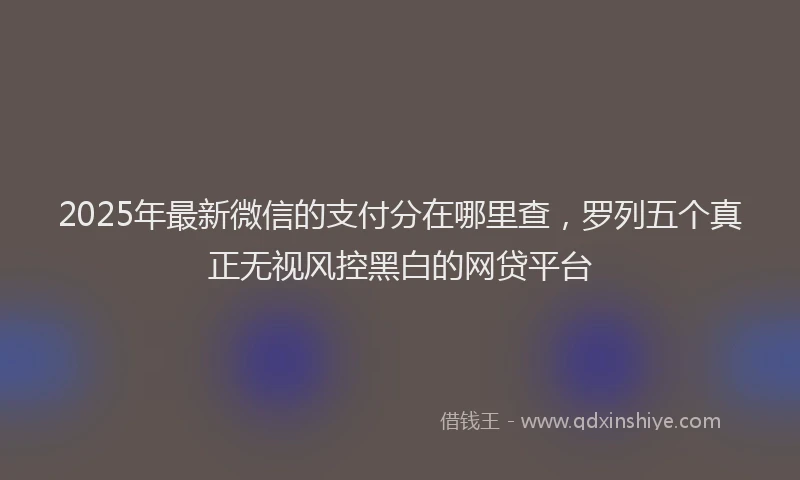 2025年最新微信的支付分在哪里查，罗列五个真正无视风控黑白的网贷平台