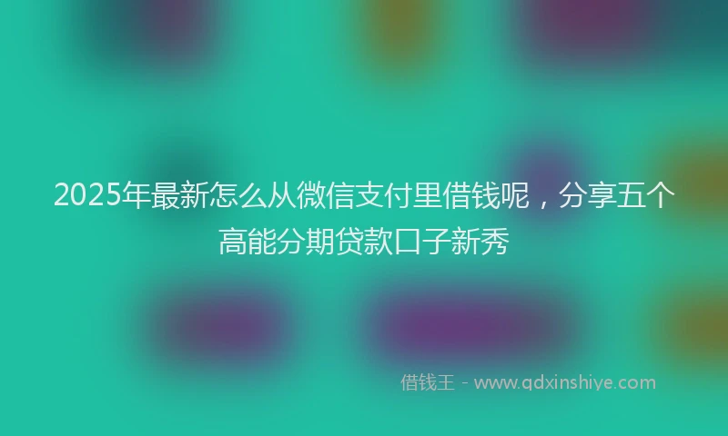 2025年最新怎么从微信支付里借钱呢，分享五个高能分期贷款口子新秀