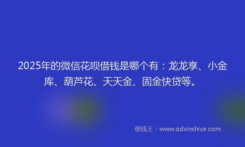 2025年的微信花呗借钱是哪个有：龙龙享、小金库、葫芦花、天天金、固金快贷等。