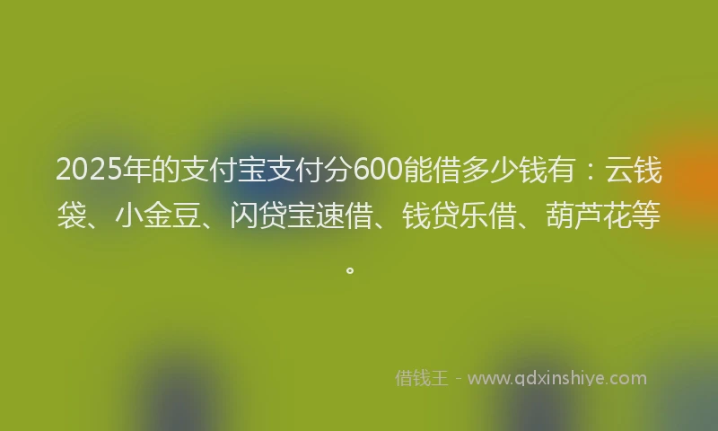 2025年的支付宝支付分600能借多少钱有：云钱袋、小金豆、闪贷宝速借、钱贷乐借、葫芦花等。