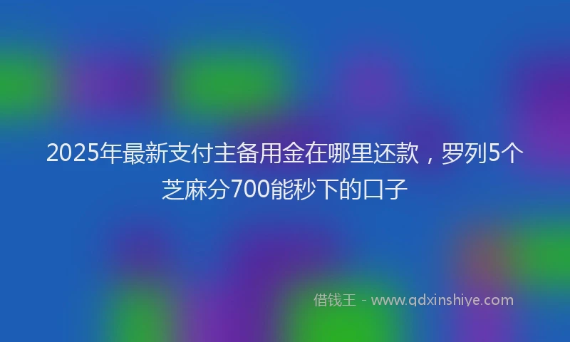 2025年最新支付主备用金在哪里还款，罗列5个芝麻分700能秒下的口子
