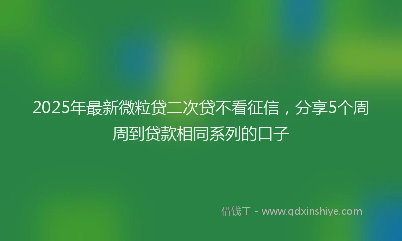 2025年最新微粒贷二次贷不看征信，分享5个周周到贷款相同系列的口子