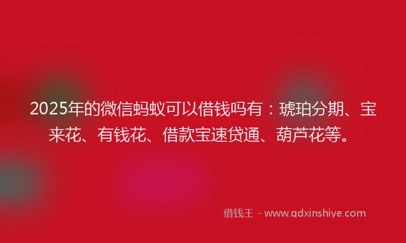 2025年的微信蚂蚁可以借钱吗有：琥珀分期、宝来花、有钱花、借款宝速贷通、葫芦花等。