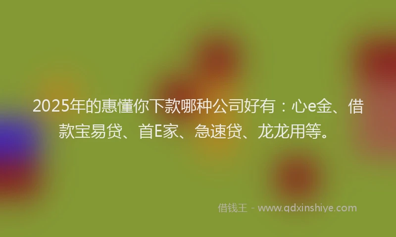 2025年的惠懂你下款哪种公司好有：心e金、借款宝易贷、首E家、急速贷、龙龙用等。