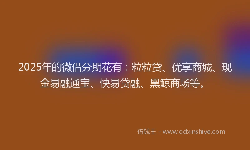 2025年的微借分期花有：粒粒贷、优享商城、现金易融通宝、快易贷融、黑鲸商场等。