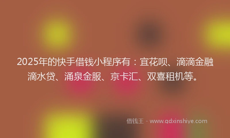 2025年的快手借钱小程序有：宜花呗、滴滴金融滴水贷、涌泉金服、京卡汇、双喜租机等。