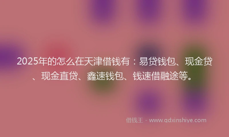 2025年的怎么在天津借钱有：易贷钱包、现金贷、现金直贷、鑫速钱包、钱速借融途等。