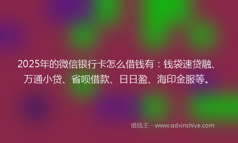 2025年的微信银行卡怎么借钱有：钱袋速贷融、万通小贷、省呗借款、日日盈、海印金服等。