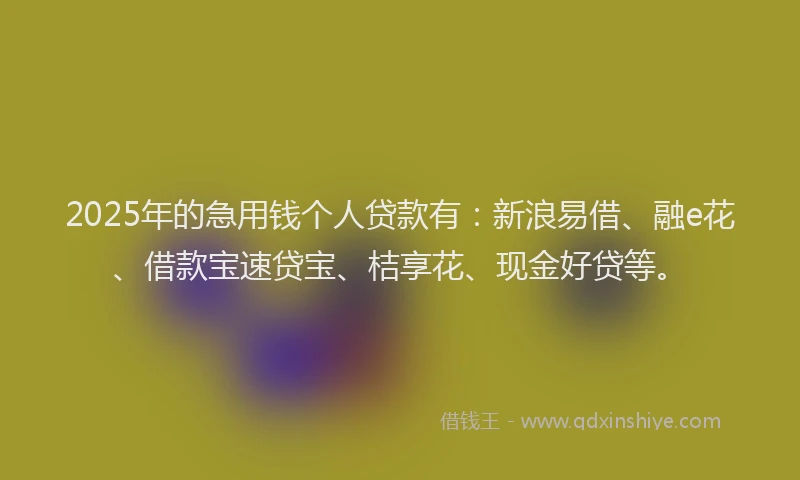 2025年的急用钱个人贷款有：新浪易借、融e花、借款宝速贷宝、桔享花、现金好贷等。