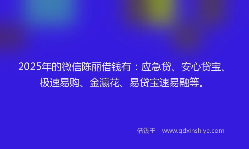 2025年的微信陈丽借钱有：应急贷、安心贷宝、极速易购、金瀛花、易贷宝速易融等。