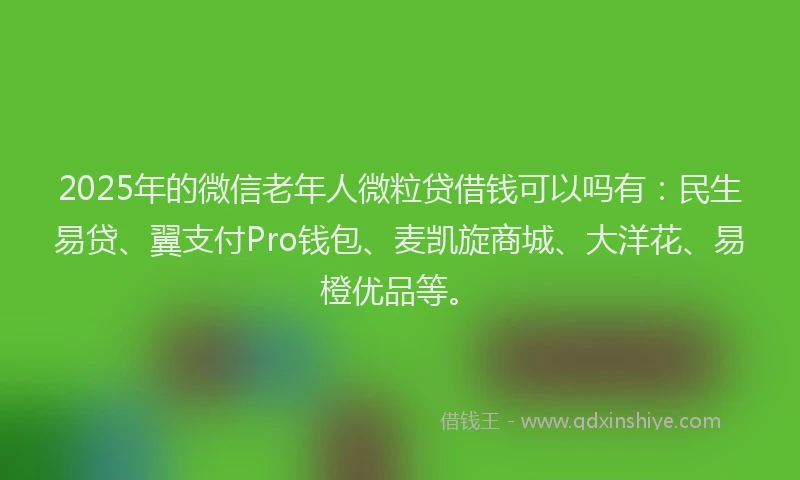 2025年的微信老年人微粒贷借钱可以吗有：民生易贷、翼支付Pro钱包、麦凯旋商城、大洋花、易橙优品等。