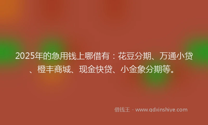 2025年的急用钱上哪借有：花豆分期、万通小贷、橙丰商城、现金快贷、小金象分期等。