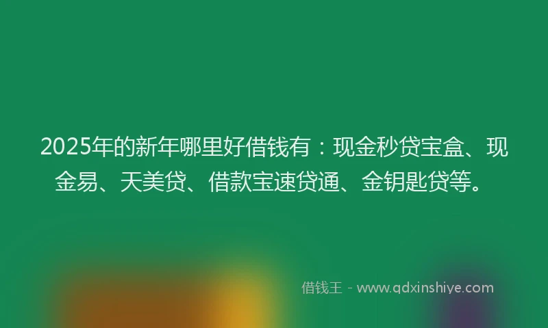 2025年的新年哪里好借钱有：现金秒贷宝盒、现金易、天美贷、借款宝速贷通、金钥匙贷等。