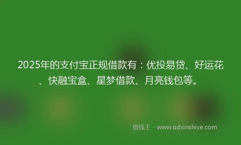 2025年的支付宝正规借款有：优投易贷、好运花、快融宝盒、星梦借款、月亮钱包等。