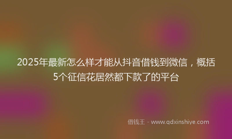 2025年最新怎么样才能从抖音借钱到微信，概括5个征信花居然都下款了的平台