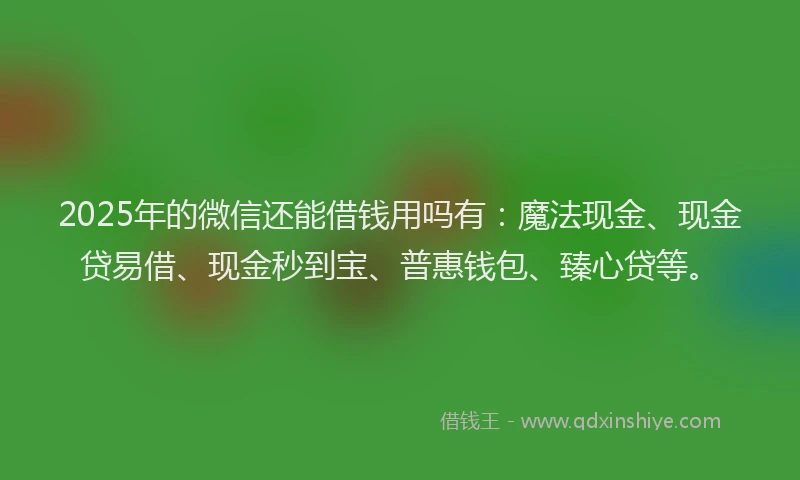 2025年的微信还能借钱用吗有：魔法现金、现金贷易借、现金秒到宝、普惠钱包、臻心贷等。