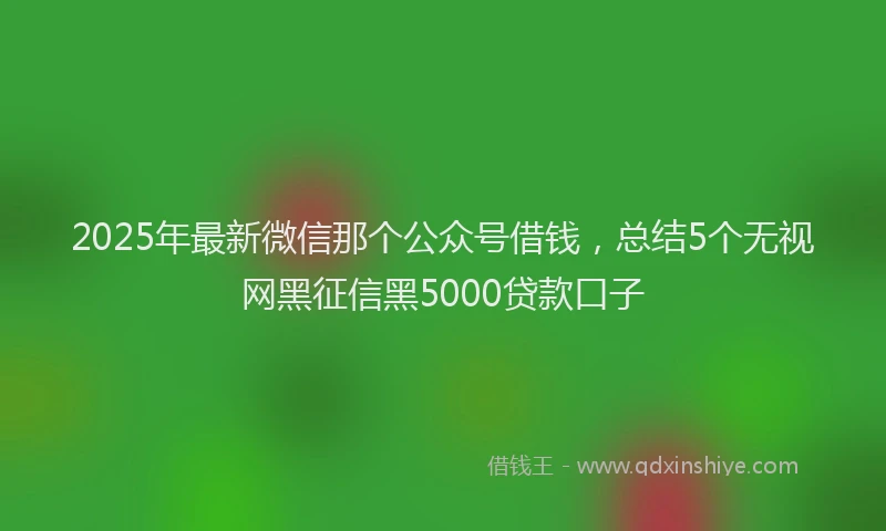2025年最新微信那个公众号借钱，总结5个无视网黑征信黑5000贷款口子